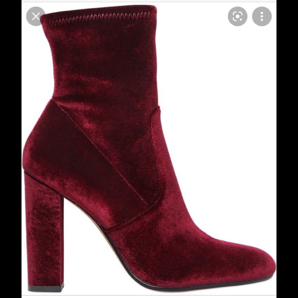 Steve Madden Burgundy Velvet Booties